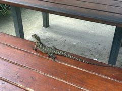 -可伦宾野生动物保护区