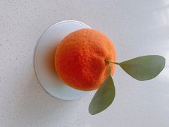 -莫奈花园法式蛋糕