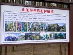 -山王坪喀斯特国家生态公园