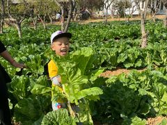 -武汉开心果园农业发展有限公司