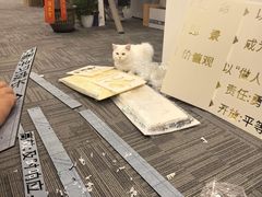 -银泉图文广告·招牌·公司文化墙·印能达(天山支路店)