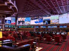 -拉斯维加斯永利酒店