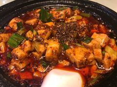 -陈麻婆豆腐总店