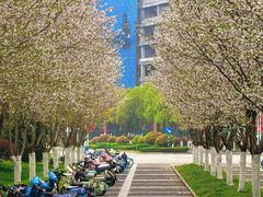 -东南大学(九龙湖校区)