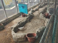 -北戴河圣蓝海洋公园