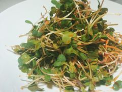 -鸭王烤鸭店(三里河店)