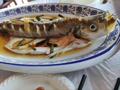 -洞天食府(北大街店)