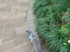 -杭州半山国家森林公园