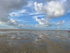 -红树林天天赶海