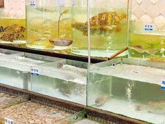 -新海利海鲜城·41年珠海老字号(夏湾店)