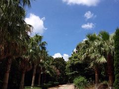 iphone_upload_pic-青龙山公园