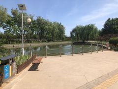 -康庄公园