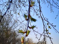 -长春公园(普阳街道)