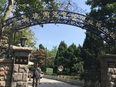 -青岛德国总督楼旧址博物馆