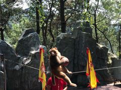 -石燕湖生态旅游景区