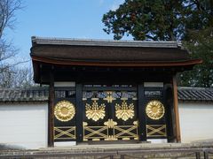 -醍醐寺