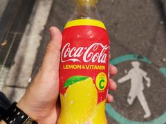 -Bic Camera (难波店)