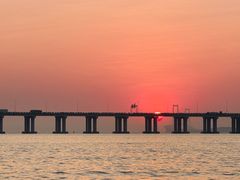 -宝安西湾红树林湿地公园