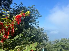 -终南山南五台景区