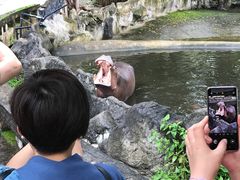 -清迈夜间动物园