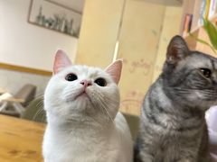 -有何Book(六堰体育馆店)