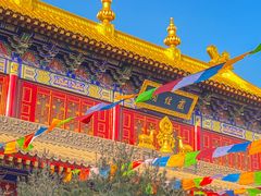 -西安市广仁寺