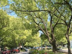 -江湾体育中心游泳馆