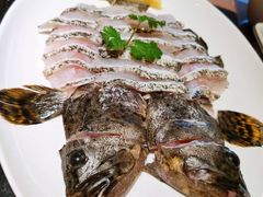 珍珠龙趸-协成海鲜火锅(情侣路店)