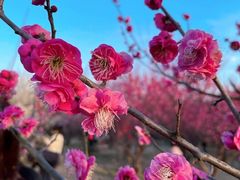 -蜀冈西峰生态公园