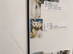 -科道动物医院·急重症中心(万达院)