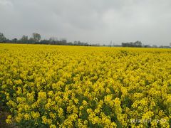 -中国天府农业博览园