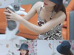 -lincat·猫舍(广州店)