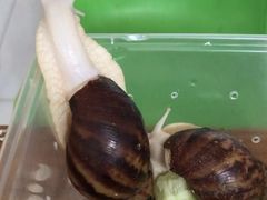 -易生活购物公园