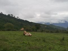 -硗碛藏寨·神木垒景区