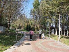 -莫子山公园