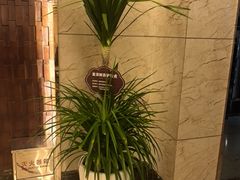 -和毅足道·轻奢SPA·按摩(万家丽路店)