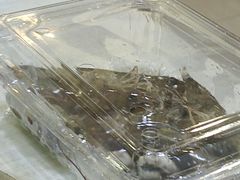 -尚品海鲜肥牛自助火锅(湖明店)