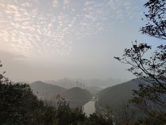 -桃花岭景区