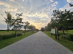 -汉长安城未央宫国家考古遗址公园