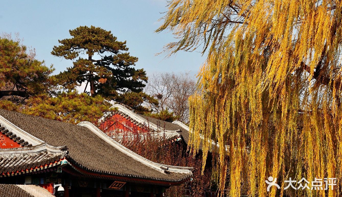 初冬的颐和园，由后山石阶而上，少有游客，唯闻雀儿鸣叫