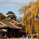 初冬的颐和园，由后山石阶而上，少有游客，唯闻雀儿鸣叫