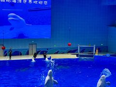 -石家庄市动物园