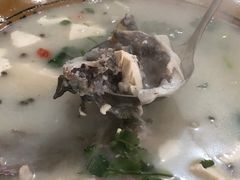 -煲来饱去冷水鱼