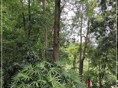 -成都市活水公园