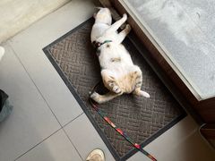 -Again Coffee Roaster(香蜜湖店)