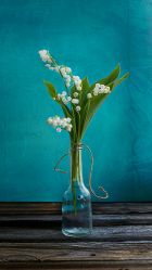 -宋氏家传催乳工作室(罗南新村店)