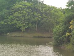 -上海海湾国家森林公园