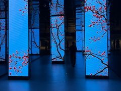 -中国湿地博物馆