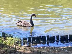 -沈阳森林动物园