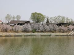 -青龙湖公园